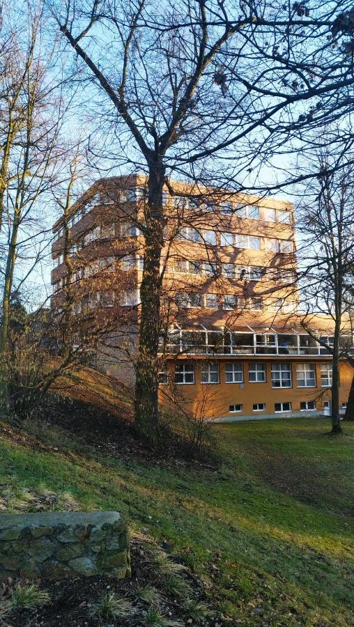 Parkhotel Sokolov Exterior photo